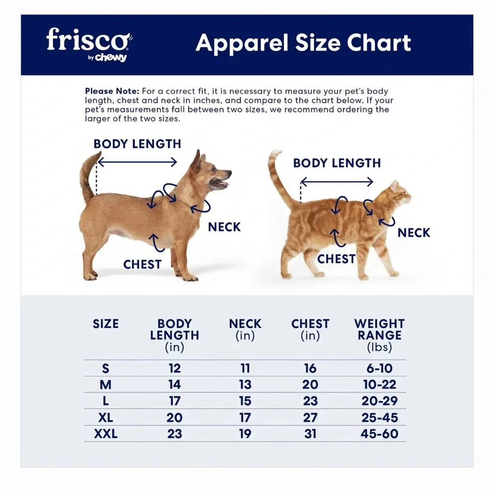 Frisco Shooting Star-Pegasus Dog or Cat 2 piece costume 💫